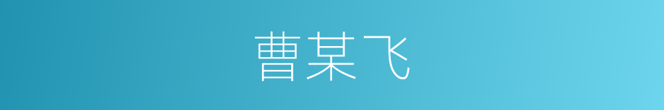 曹某飞的同义词