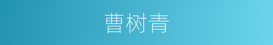 曹树青的同义词