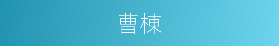 曹棟的同義詞
