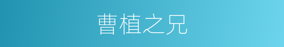 曹植之兄的同义词