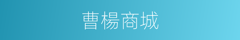 曹楊商城的同義詞