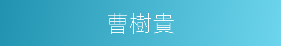 曹樹貴的同義詞