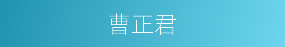 曹正君的同义词