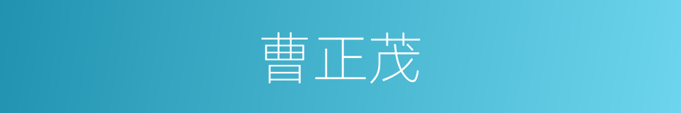 曹正茂的同义词