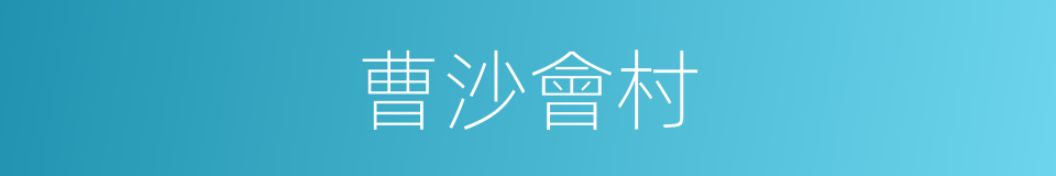 曹沙會村的同義詞