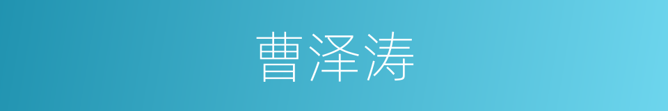 曹泽涛的同义词