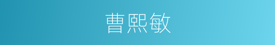 曹熙敏的同义词