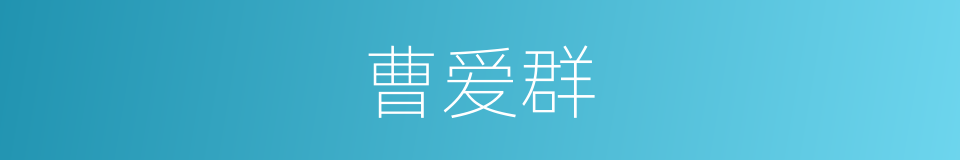 曹爱群的同义词