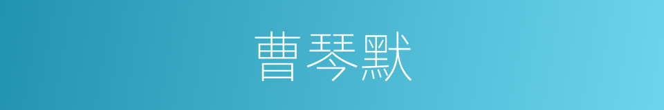 曹琴默的同义词