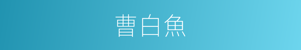 曹白魚的意思
