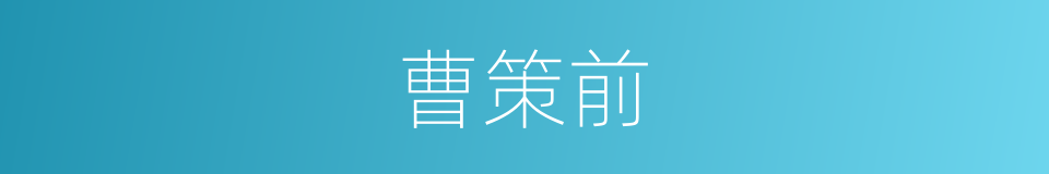 曹策前的同义词