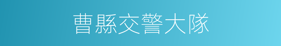 曹縣交警大隊的同義詞
