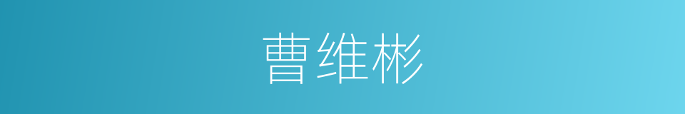 曹维彬的同义词