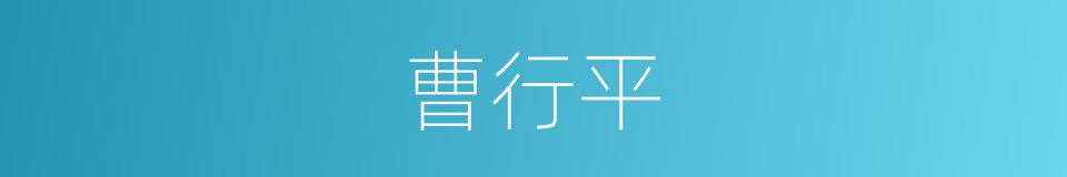 曹行平的同义词
