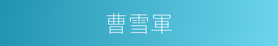 曹雪軍的同義詞