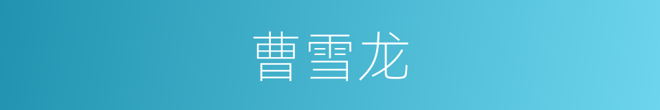 曹雪龙的同义词