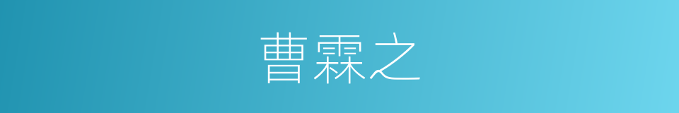 曹霖之的同义词