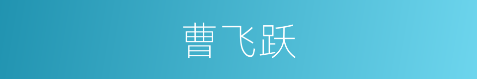 曹飞跃的同义词