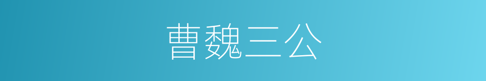 曹魏三公的同义词