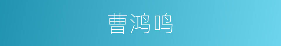 曹鸿鸣的同义词