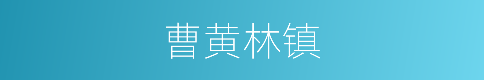 曹黄林镇的同义词