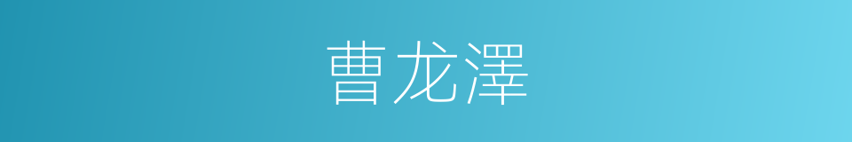 曹龙澤的同義詞
