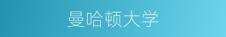 曼哈顿大学的同义词