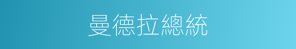 曼德拉總統的同義詞