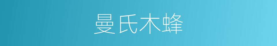 曼氏木蜂的同义词
