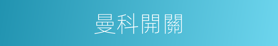 曼科開關的同義詞