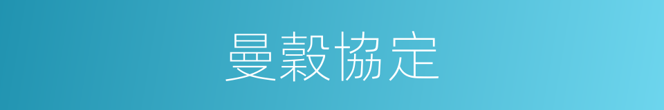 曼穀協定的同義詞