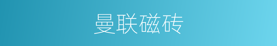 曼联磁砖的同义词