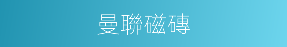 曼聯磁磚的同義詞