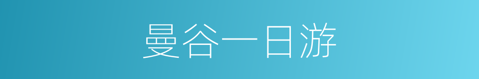 曼谷一日游的同义词