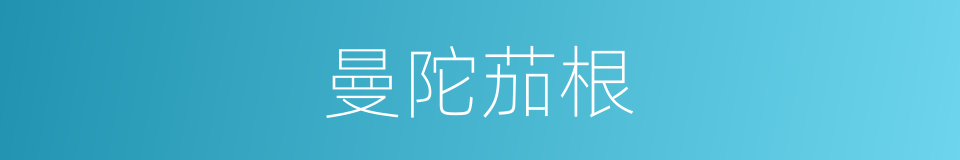曼陀茄根的同义词