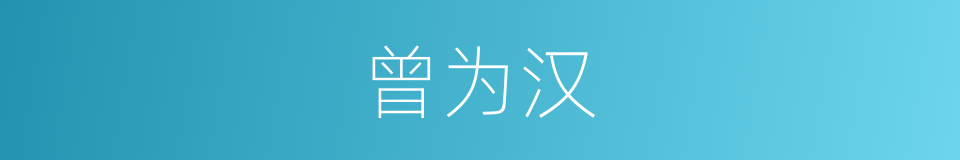 曾为汉的同义词