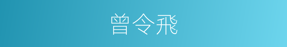 曾令飛的同義詞