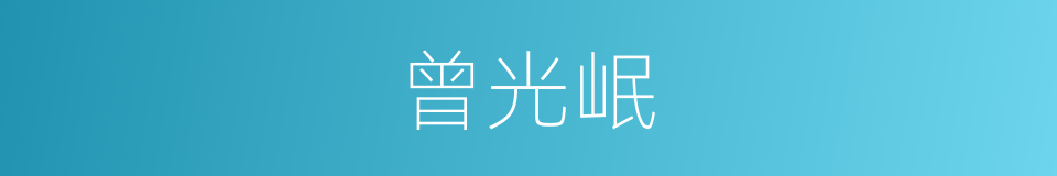 曾光岷的同义词