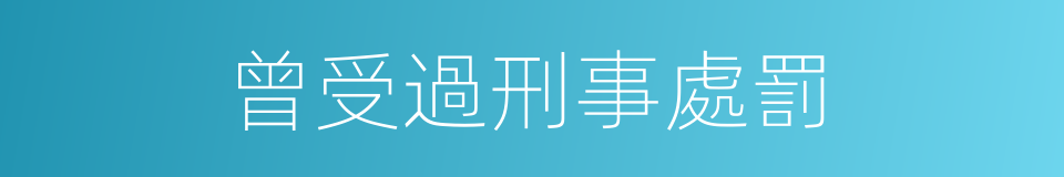 曾受過刑事處罰的同義詞