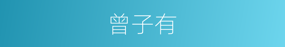 曾子有的同义词