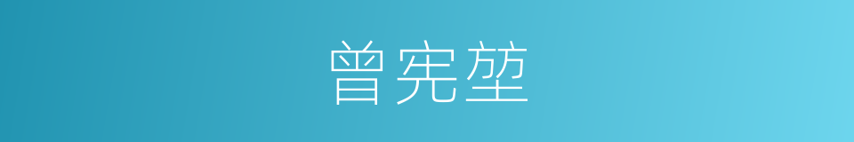 曾宪堃的同义词