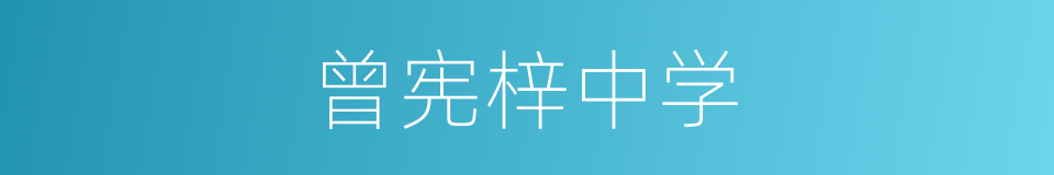 曾宪梓中学的同义词