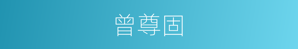 曾尊固的同义词