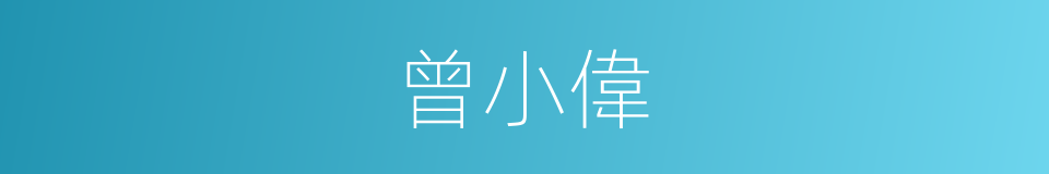 曾小偉的同義詞