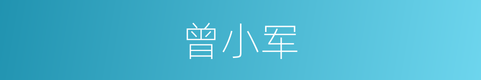 曾小军的同义词
