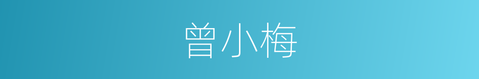 曾小梅的同义词