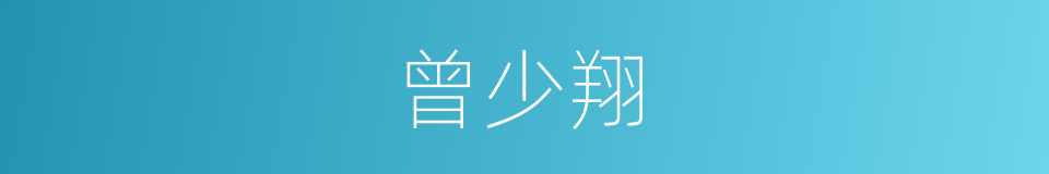 曾少翔的同义词