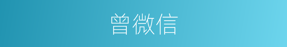 曾微信的同义词