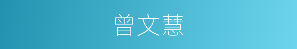 曾文慧的同义词