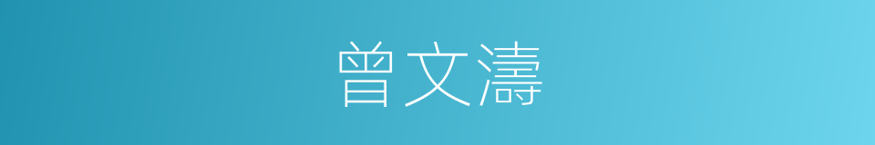 曾文濤的同義詞